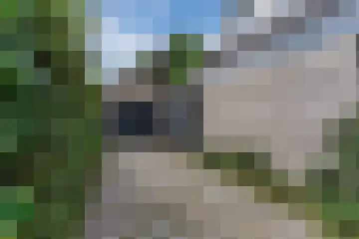 Hendrik van Herenthalslaan 3 Lieshout thumbnail 39