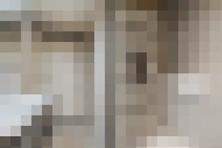 Hendrik van Herenthalslaan 3 Lieshout thumbnail 4