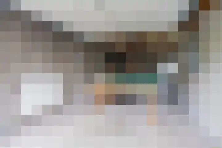 Hendrik van Herenthalslaan 3 Lieshout thumbnail 40