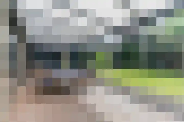 Hendrik van Herenthalslaan 3 Lieshout thumbnail 41