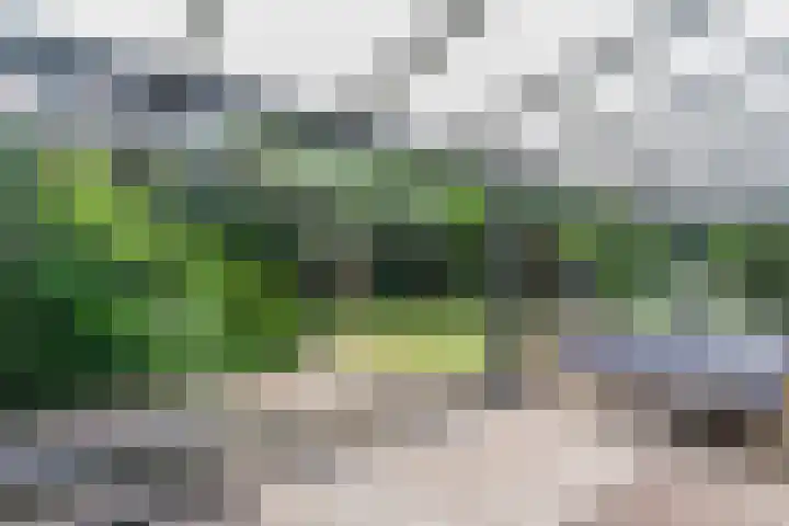 Hendrik van Herenthalslaan 3 Lieshout thumbnail 42