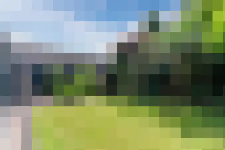 Hendrik van Herenthalslaan 3 Lieshout thumbnail 45