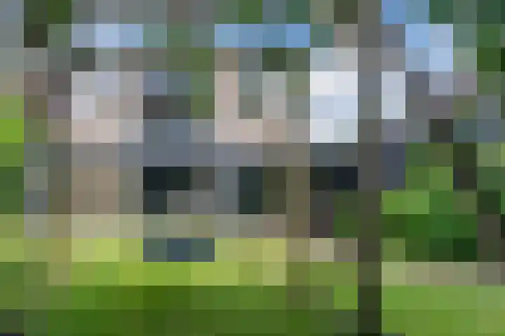 Hendrik van Herenthalslaan 3 Lieshout thumbnail 46