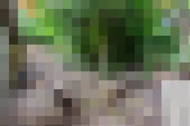 Hendrik van Herenthalslaan 3 Lieshout thumbnail 47