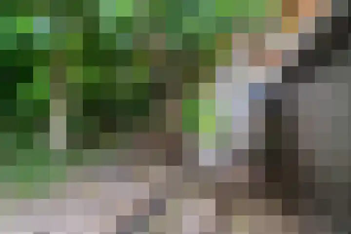 Hendrik van Herenthalslaan 3 Lieshout thumbnail 48