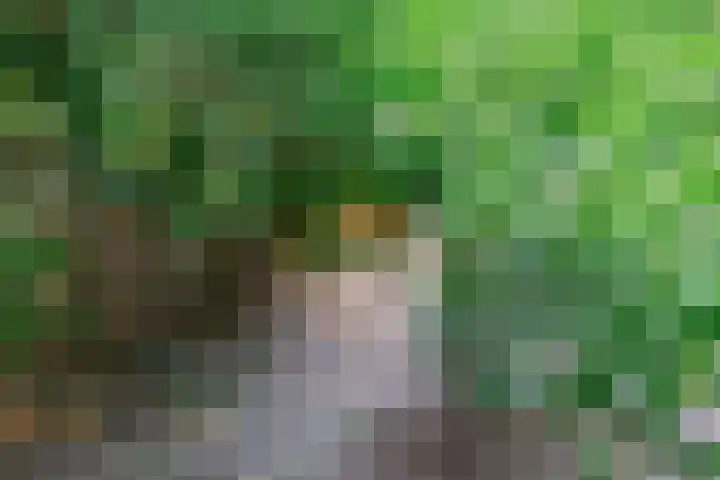 Hendrik van Herenthalslaan 3 Lieshout thumbnail 49
