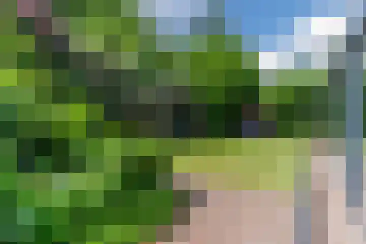 Hendrik van Herenthalslaan 3 Lieshout thumbnail 5
