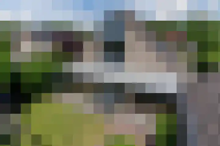 Hendrik van Herenthalslaan 3 Lieshout thumbnail 51