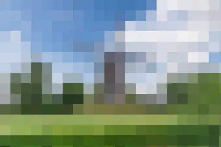 Hendrik van Herenthalslaan 3 Lieshout thumbnail 53