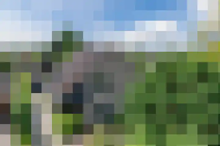 Hendrik van Herenthalslaan 3 Lieshout thumbnail 6