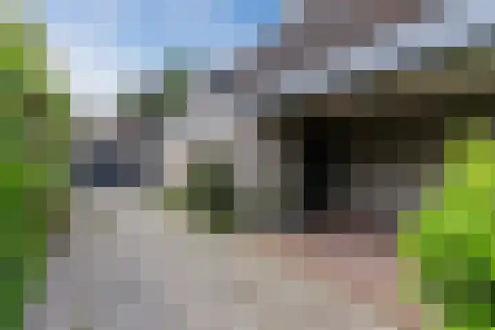 Hendrik van Herenthalslaan 3 Lieshout thumbnail 7