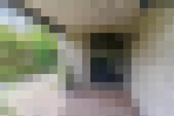 Hendrik van Herenthalslaan 3 Lieshout thumbnail 8