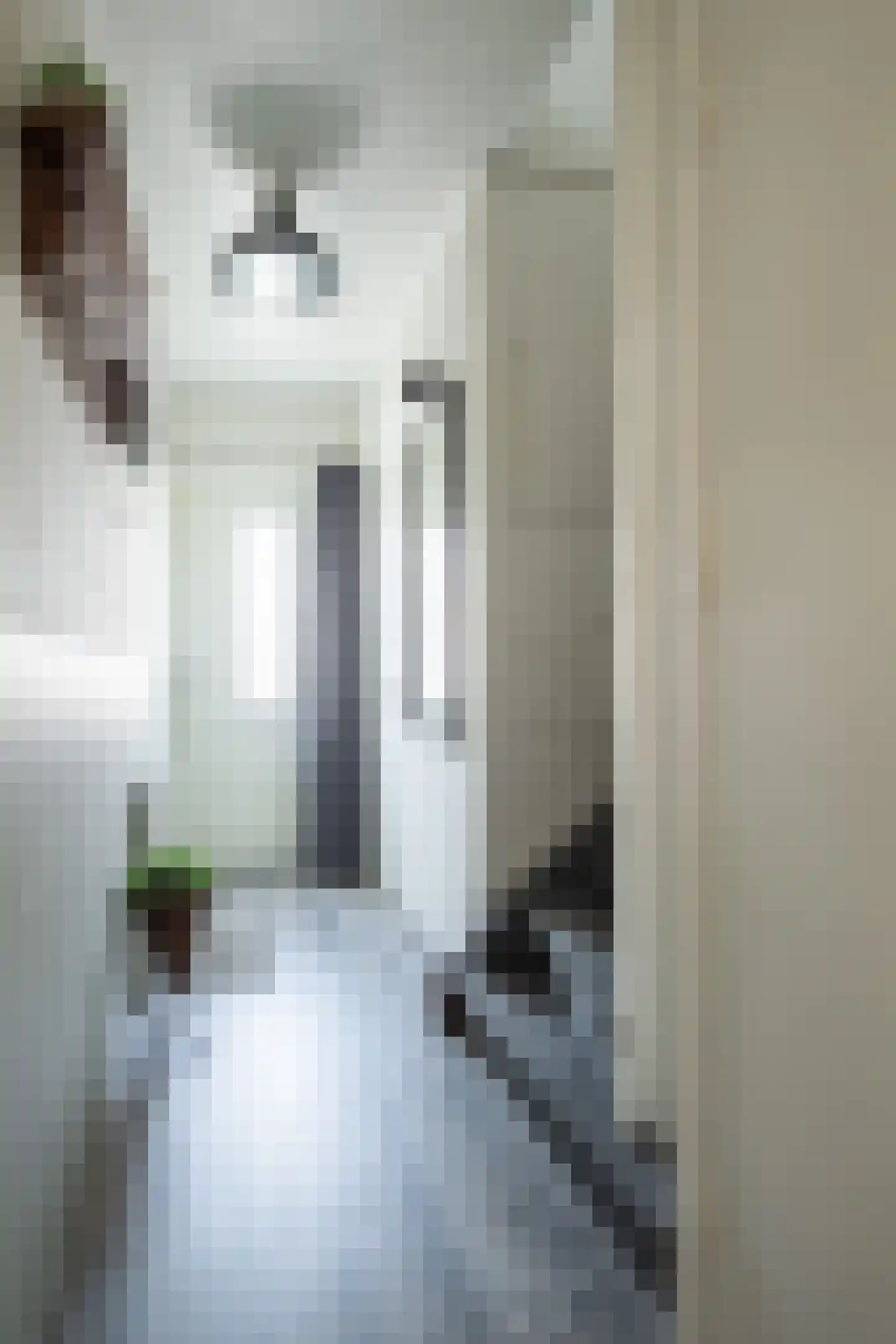 Hendrik van Leyenstraat 10 Born thumbnail 5