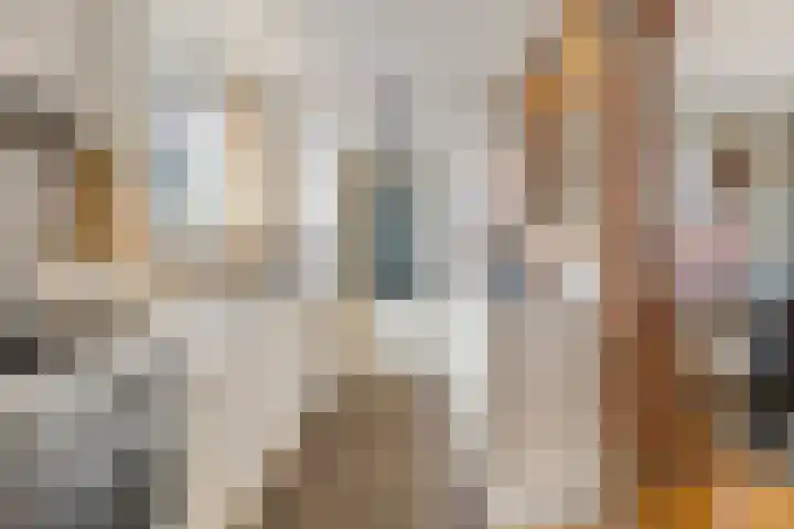 Hendrik van Leyenstraat 19 Born thumbnail 10