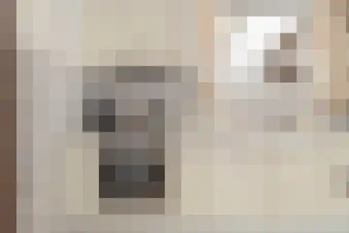 Hendrik van Leyenstraat 19 Born thumbnail 11