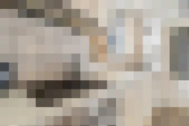 Hendrik van Leyenstraat 19 Born thumbnail 12