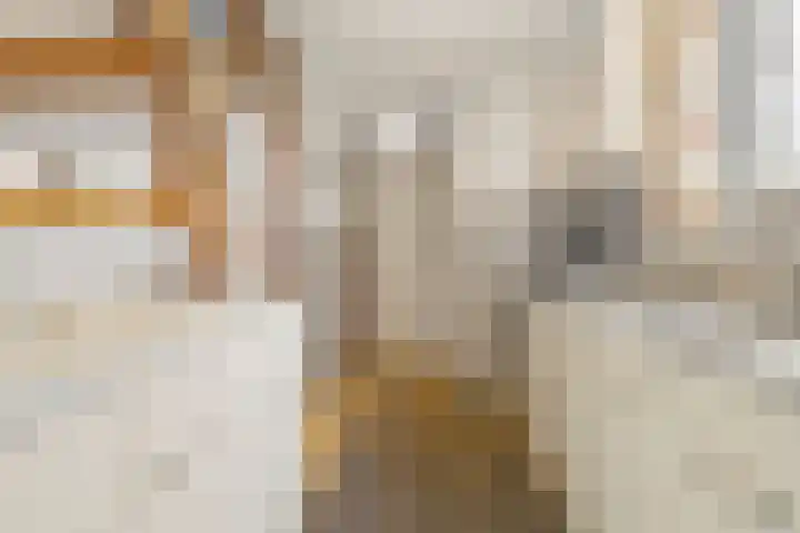 Hendrik van Leyenstraat 19 Born thumbnail 13