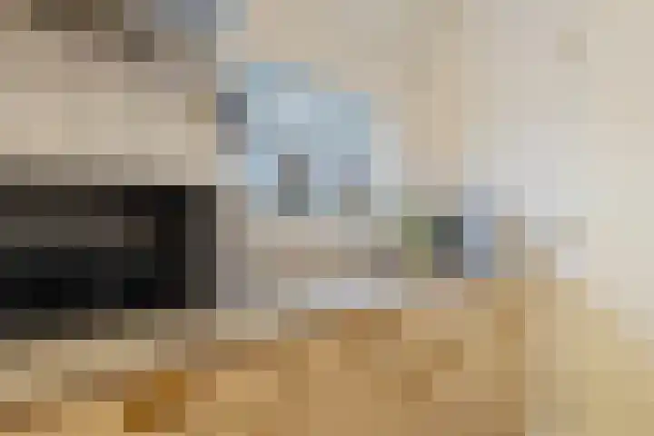 Hendrik van Leyenstraat 19 Born thumbnail 16