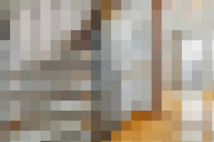 Hendrik van Leyenstraat 19 Born thumbnail 19
