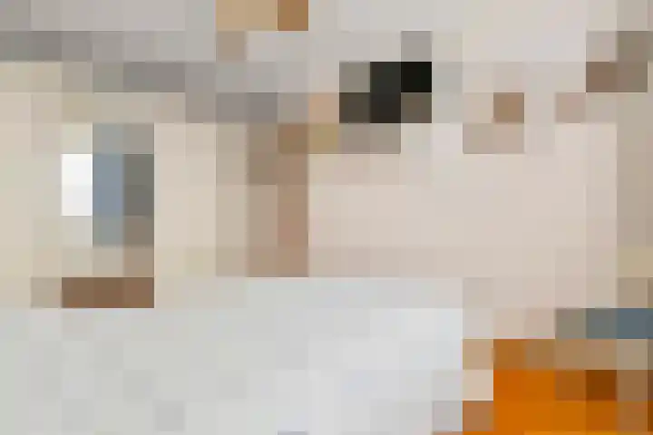 Hendrik van Leyenstraat 19 Born thumbnail 21