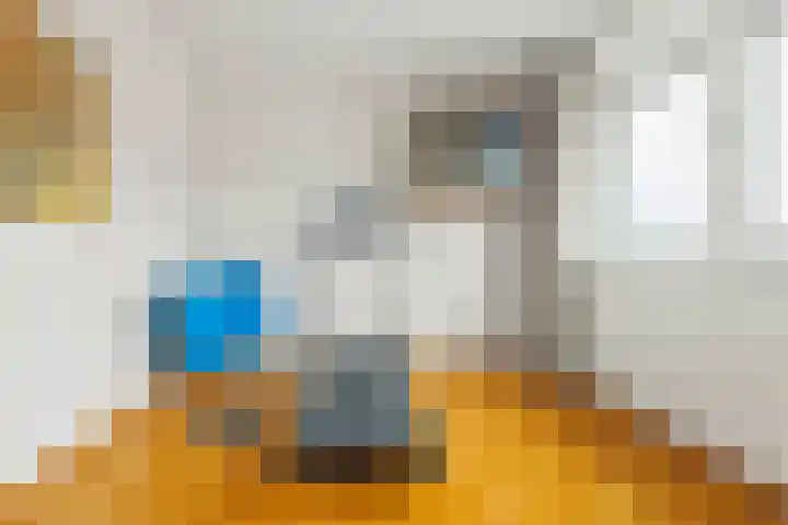 Hendrik van Leyenstraat 19 Born thumbnail 23