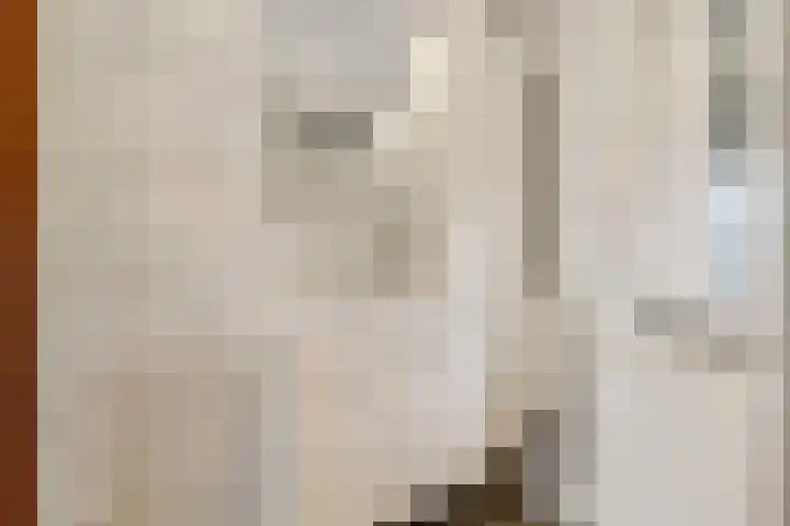 Hendrik van Leyenstraat 19 Born thumbnail 29