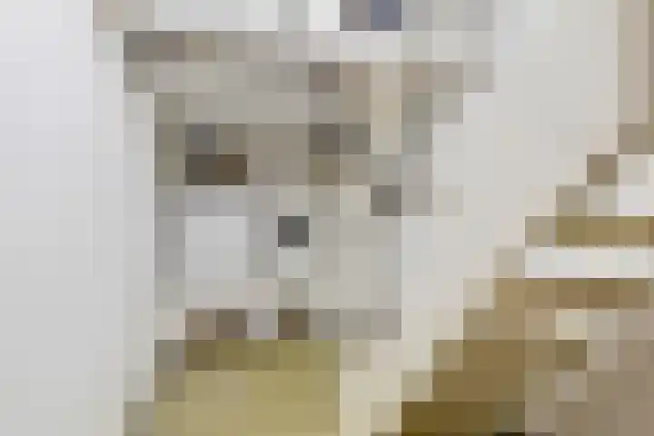 Hendrik van Leyenstraat 19 Born thumbnail 34
