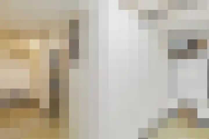 Hendrik van Leyenstraat 19 Born thumbnail 35