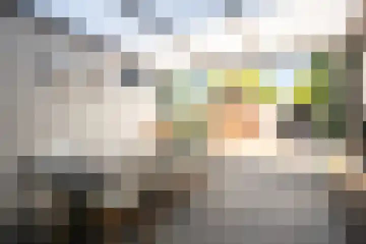 Hendrik van Leyenstraat 4 Born thumbnail 10