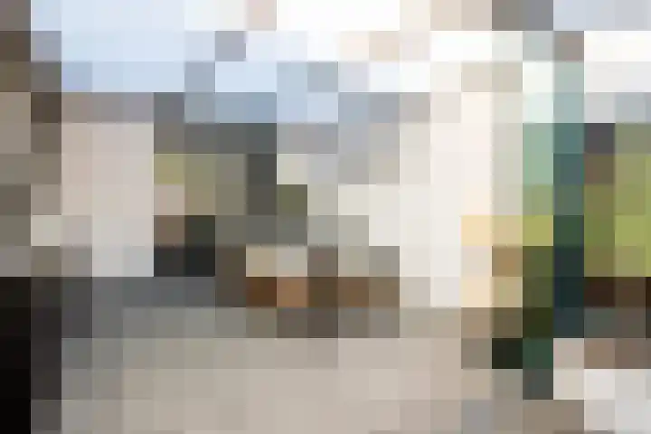 Hendrik van Leyenstraat 4 Born thumbnail 11