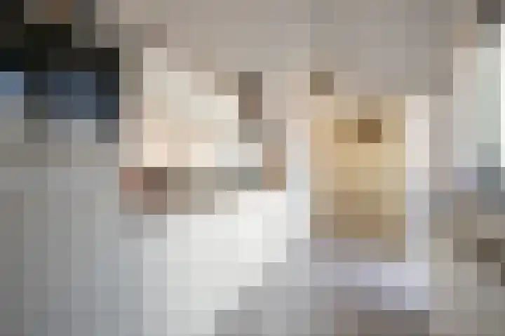 Hendrik van Leyenstraat 4 Born thumbnail 14