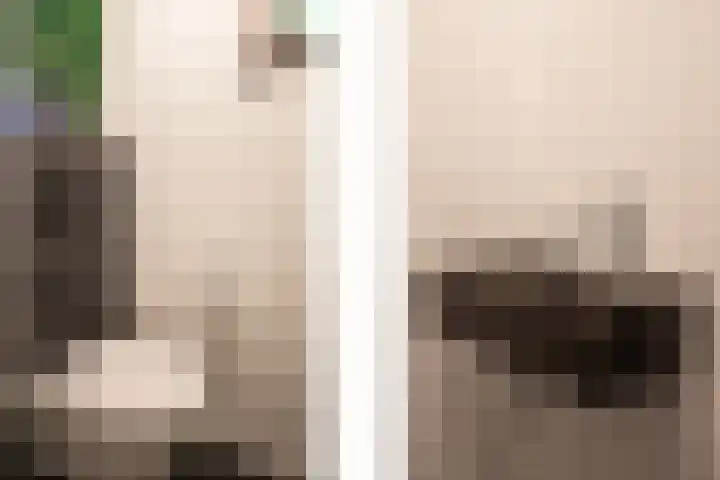 Hendrik van Leyenstraat 4 Born thumbnail 16