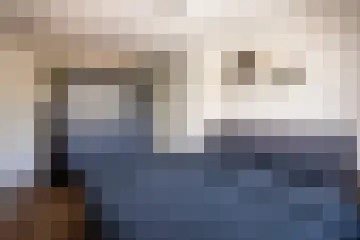 Hendrik van Leyenstraat 4 Born thumbnail 18