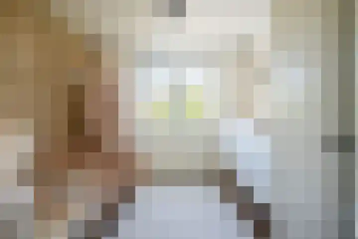 Hendrik van Leyenstraat 4 Born thumbnail 19