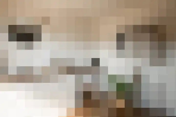 Hendrik van Leyenstraat 4 Born thumbnail 20