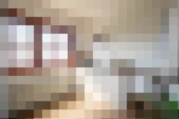 Hendrik van Leyenstraat 4 Born thumbnail 21