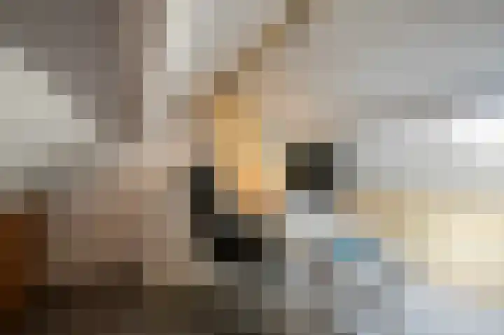 Hendrik van Leyenstraat 4 Born thumbnail 25