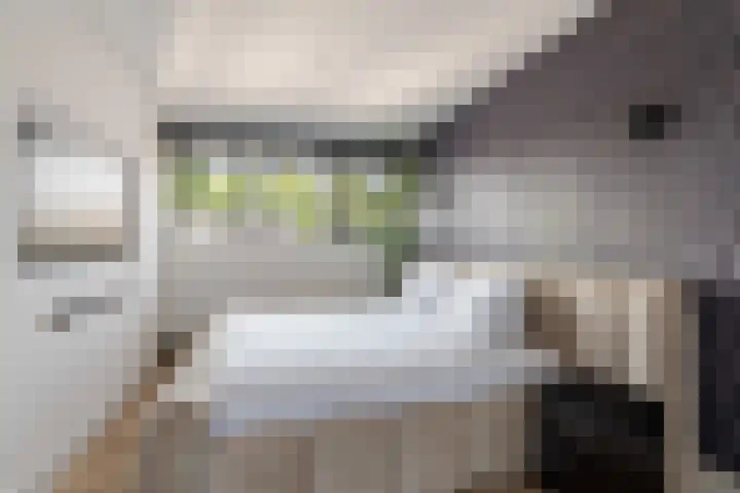 Hendrik van Lunterenstraat 2 IJsselstein thumbnail 39