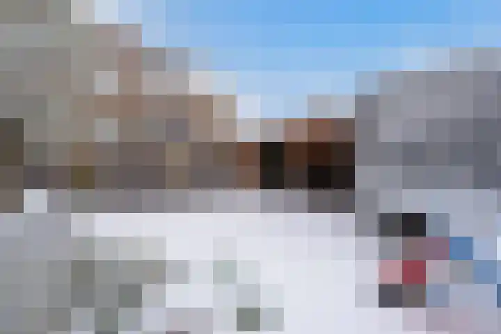 Hendrik van Naaldwijkstraat 2 E Naaldwijk thumbnail 26