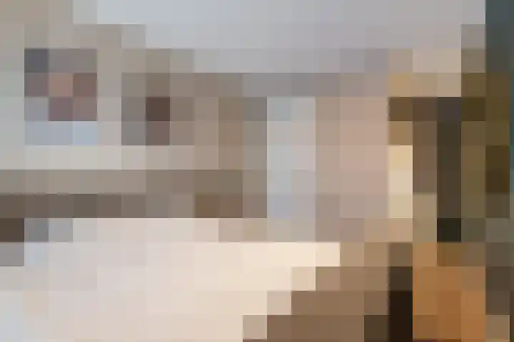 Hendrik van Naaldwijkstraat 2 E Naaldwijk thumbnail 35