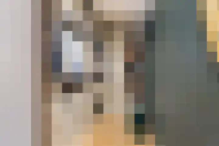 Hendrik van Naaldwijkstraat 2 E Naaldwijk thumbnail 36