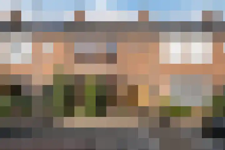 Hendrik van Naaldwijkstraat 39 Naaldwijk thumbnail 31