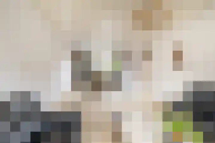 Hendrik van Naaldwijkstraat 39 Naaldwijk thumbnail 4