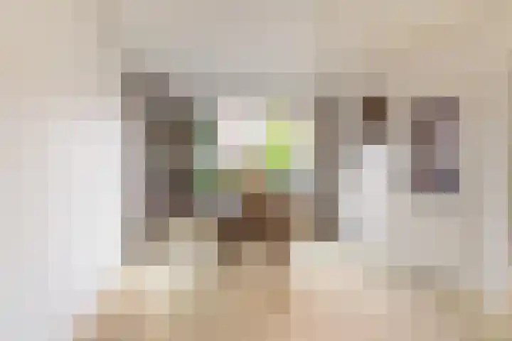 Hendrik van Naaldwijkstraat 39 Naaldwijk thumbnail 5