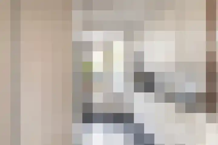 Hendrik van Naaldwijkstraat 39 Naaldwijk thumbnail 6