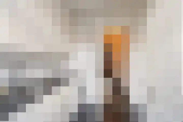 Hendrik van Naaldwijkstraat 39 Naaldwijk thumbnail 7