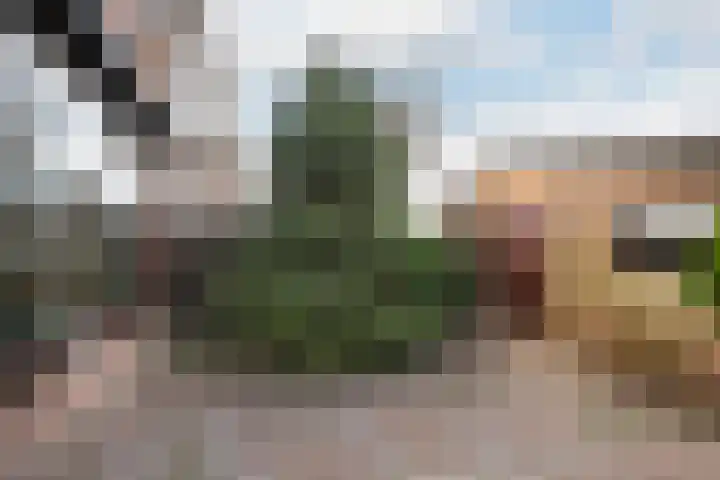 Hendrik van Naaldwijkstraat 39 Naaldwijk thumbnail 8