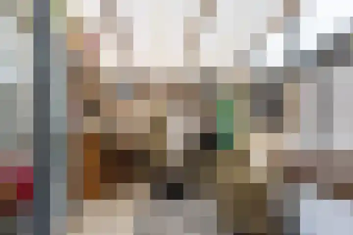 Hendrik van Naaldwijkstraat 9 Naaldwijk thumbnail 10