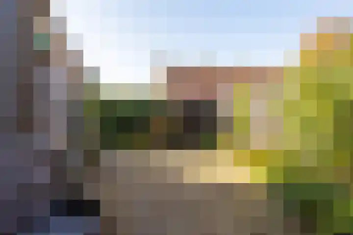 Hendrik van Naaldwijkstraat 9 Naaldwijk thumbnail 12
