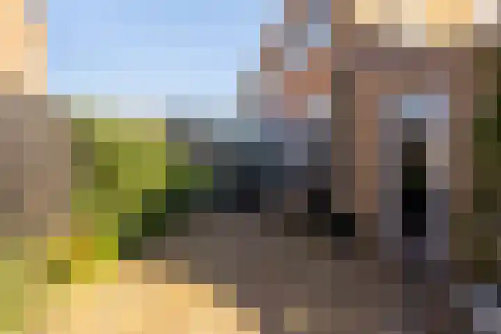 Hendrik van Naaldwijkstraat 9 Naaldwijk thumbnail 13